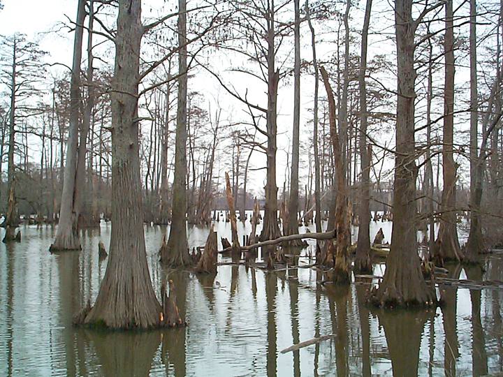 HORSESHOE BEND LAKE CONSERVATION AREA.
